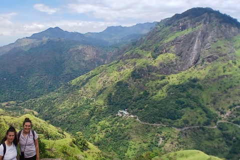 ELLA Lipton Seat Tea Test & Pluck 9Arch, Waterfalls, & Food Lipton's Seat, Little Adam Peak, 9 Arch, Ravana Waterfalls