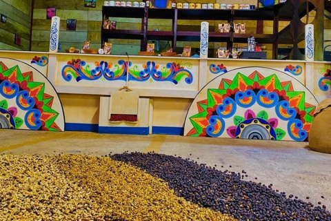 San José: Hacienda La Chimba Coffee Experience Tour