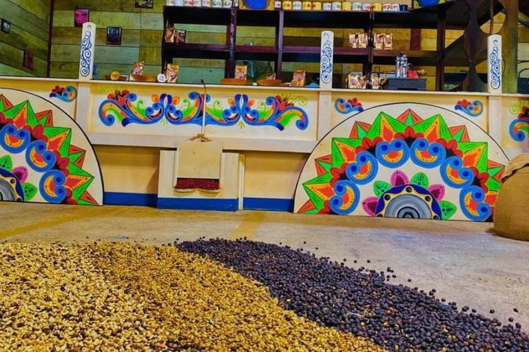 San José: Hacienda La Chimba Coffee Experience Tour