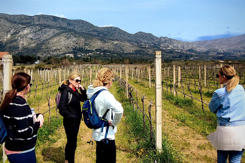 Rural biking & wine tasting tour