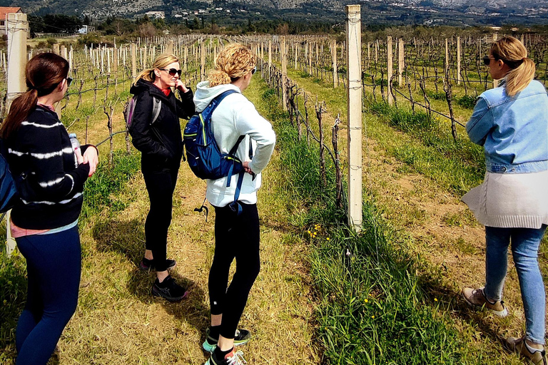 Rural biking & wine tasting tour