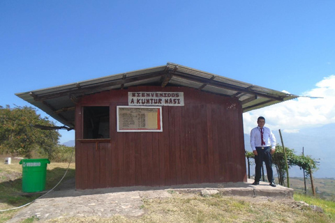 Cajamarca: Exkursion zum archäologischen Komplex Kuntur Wasi + MuseumAuf Englisch