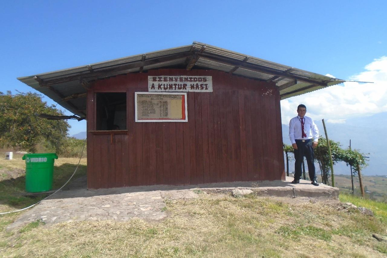 Cajamarca: Exkursion zum archäologischen Komplex Kuntur Wasi + MuseumAuf Englisch