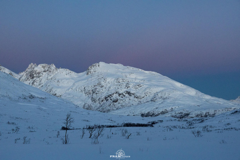 Arctic hike on the island of Kvaløya with drinks and snacks
