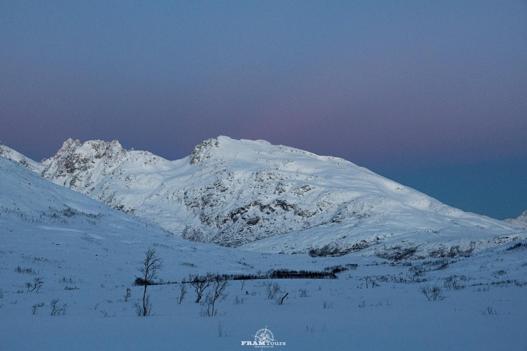 Arctic hike on the island of Kvaløya with drinks and snacks