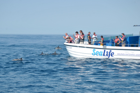 New: Into the Wild - 3H w/Marine Biologists - dolphins &more