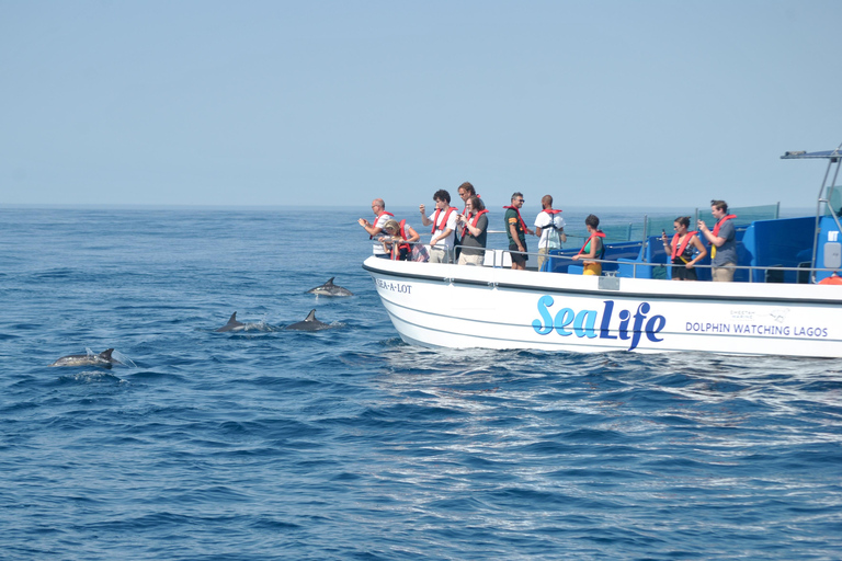 New: Into the Wild - 3H w/Marine Biologists - dolphins &more