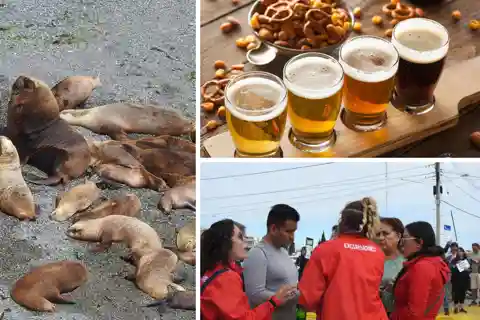 Punta Loma: Shore Tour with Craft Beer Tasting