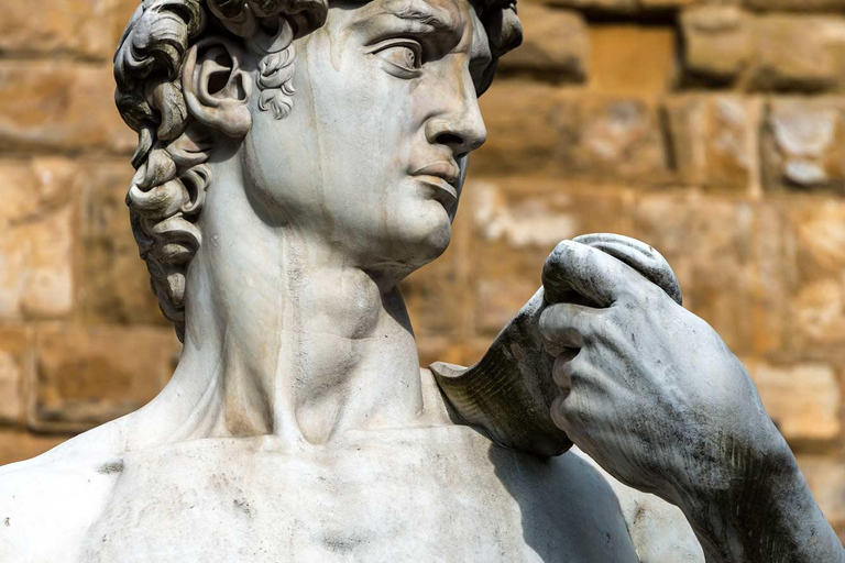 Private Pisa, Florence and Chianti Wine Tasting from Livorno