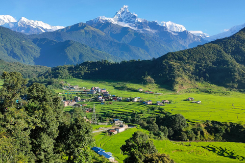 Nepal: 14-Day All Nepal Luxury Tour with Flights and Safaris