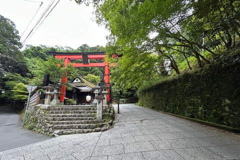 Tour particular de carro em Kyoto com guia japonês e local