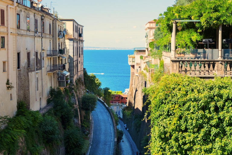 Rome: Pompeii & Amalfi Coast Day Trip, Skip-the-Line POMPEII ONLY Day Experience – No Amalfi Coast Included