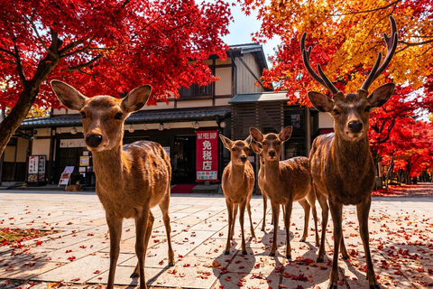 Osaka: Nara, Kyoto, and Arashiyama Day Trip with Train Ride Small Group (1–13 People, Meeting Point Pickup)