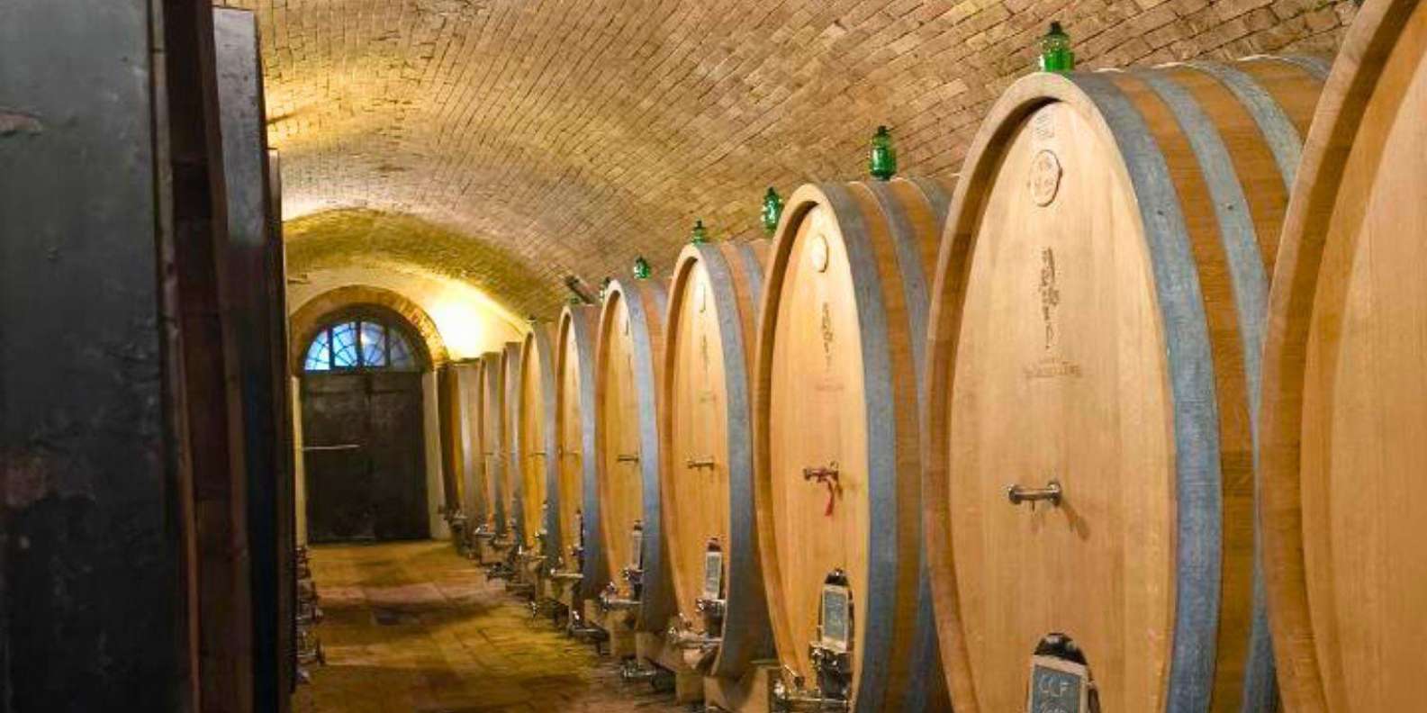 Private Tuscany wine tour — Chianti winery visit — image 7