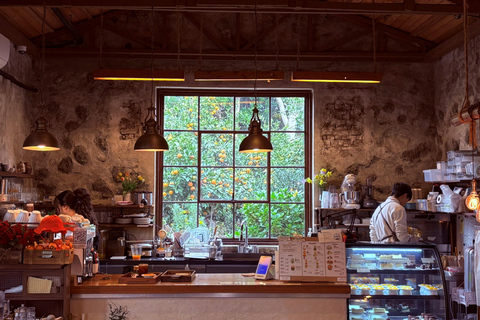 Jeju Trendy Café Tour and When Life Gives You Tangerines