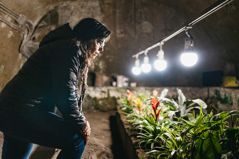 Naples: Naples Underground Entry Ticket and Guided TourGuided Tour in Italian