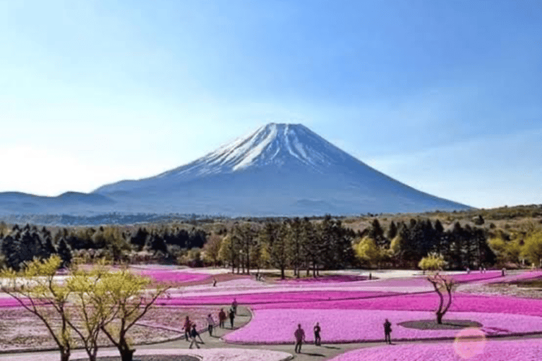 From Tokyo : Mount Fuji Private Tour With English Guide