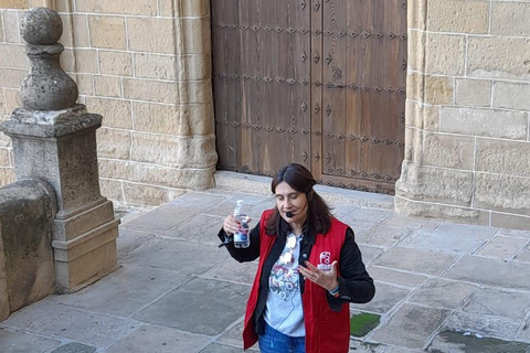 Baeza: Educational Guided Visit for School Groups Baeza: Educational guided visit for school groups