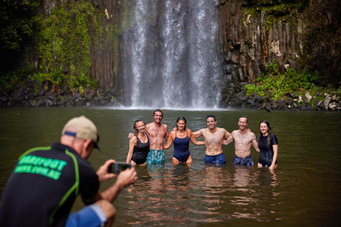 Desde Cairns Excursión de Ecoaventura y Natación en Atherton Tablelands