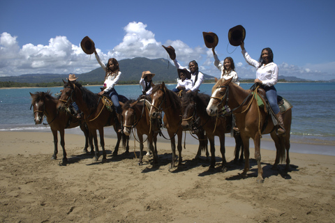 Puerto Plata: Beach Horseback Ride with Swim and Drinks Puerto Plata: Beach Horseback Ride with Swim and Drinks