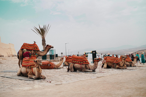 Agadir: Sunset Camel Ride, Berber Dinner & Gnaoua Music