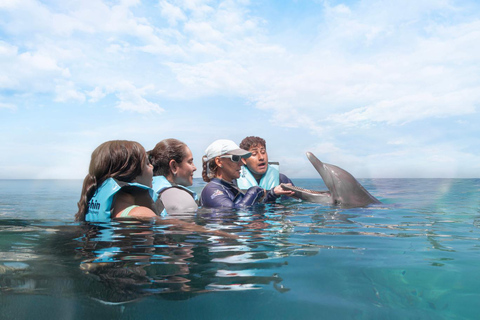 Cancun: dolfijnen en Garrafon Reef Park met buffet