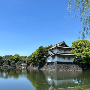 Tokyo: Imperial Palace and Shogun Walking Tour