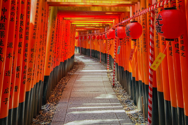 Kyoto & Nara: Private Guided Tour on Green Licensed Alphard