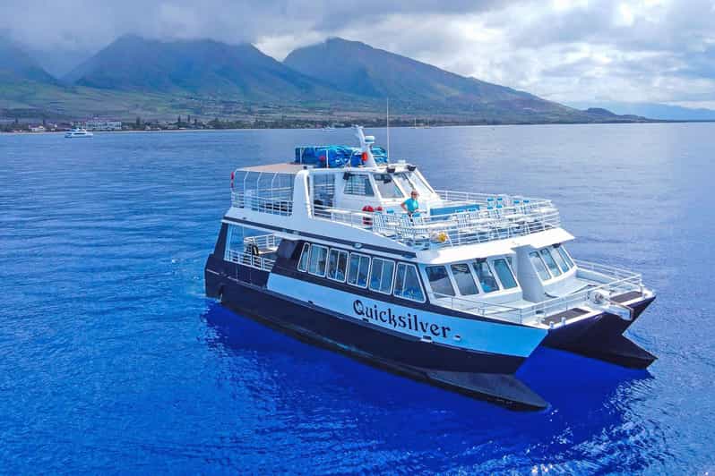 From Lahaina Turtle Town Snorkel Aboard the Quicksilver GetYourGuide