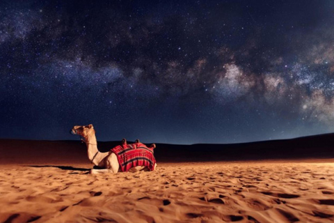 Doha: Night Desert Safari Stargazing Dune Bashing,Camel Ride