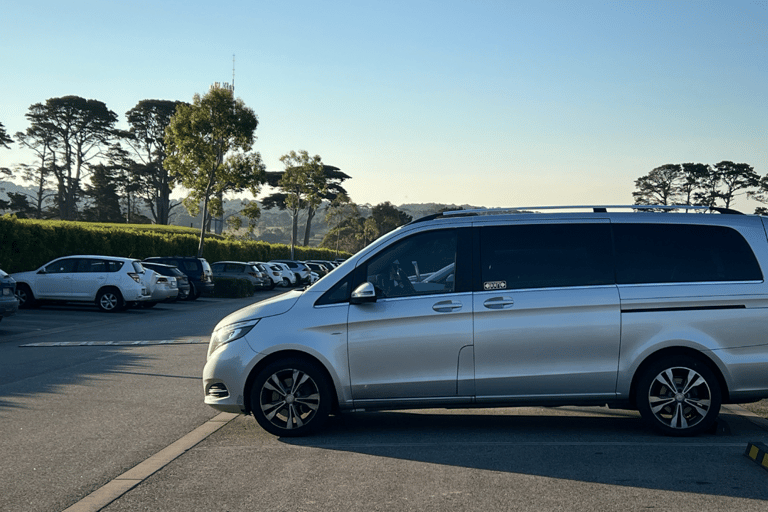 Melbourne Airport Transfer: One way transfer to city