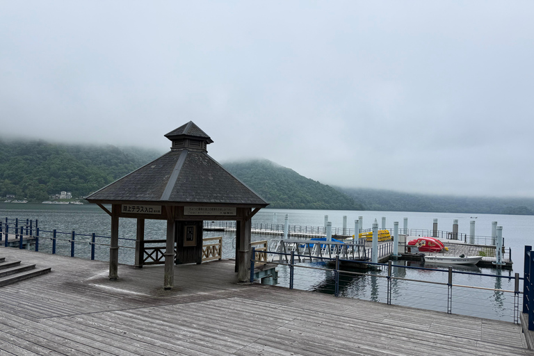 Tokyo: Nikko Private Day Tour with Pickup