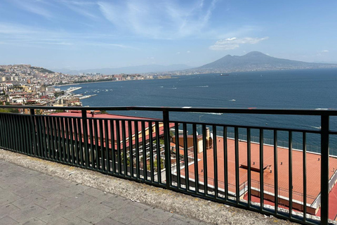 From Naples Pompeii & Mount Vesuvius Smart Tour with Tickets