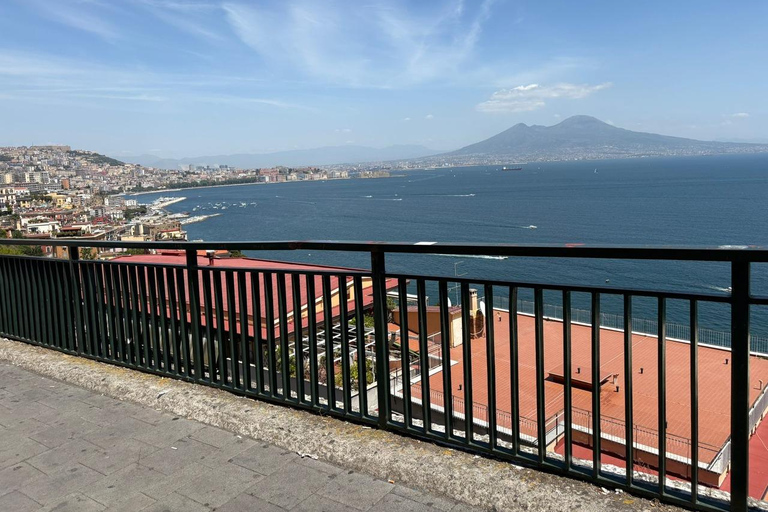 From Naples Pompeii & Mount Vesuvius Smart Tour with Tickets