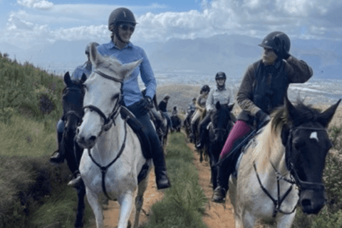 Franschhoek: Excursión de un día completo a caballo y cata de vinos