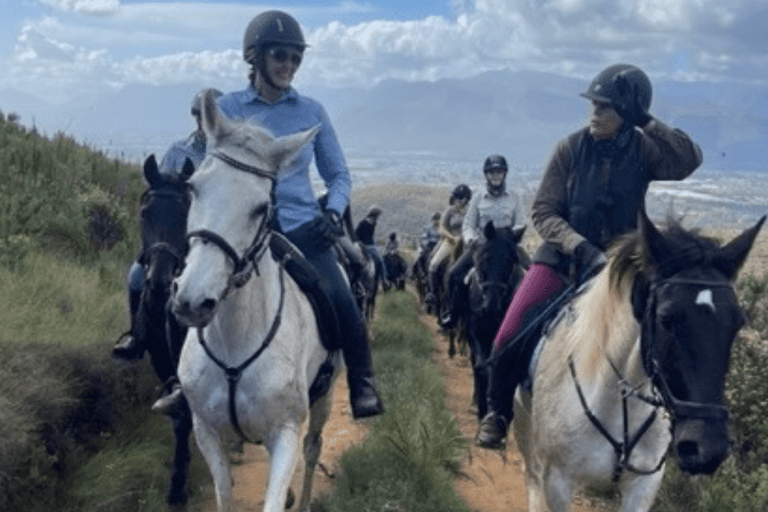 Franschhoek: Excursión de un día completo a caballo y cata de vinos