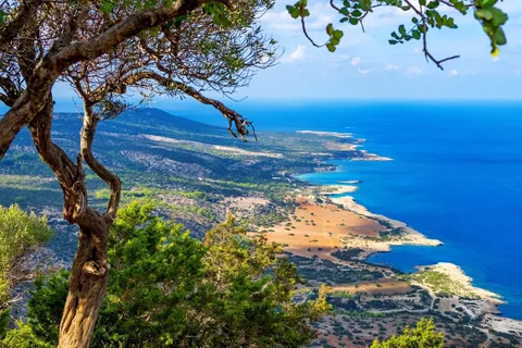 Paphos : Jeep privée Bain d'Aphrodite avec chutes d'eau