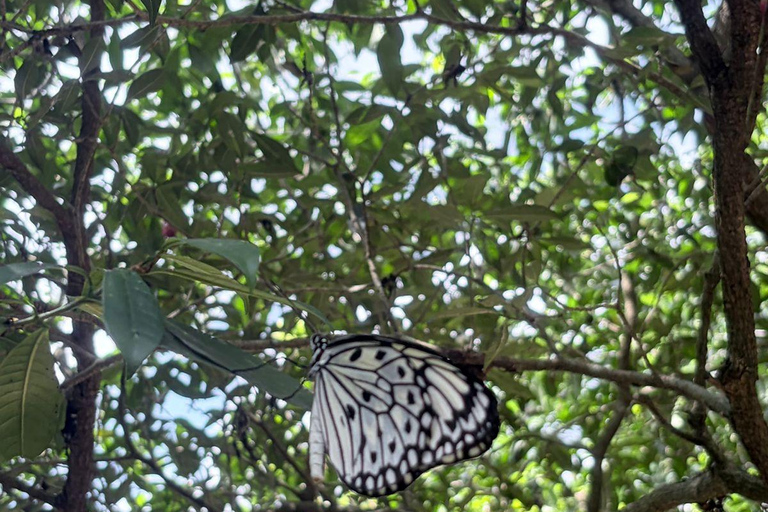 Puerto Princesa City Tour (History, Culture & Shopping)