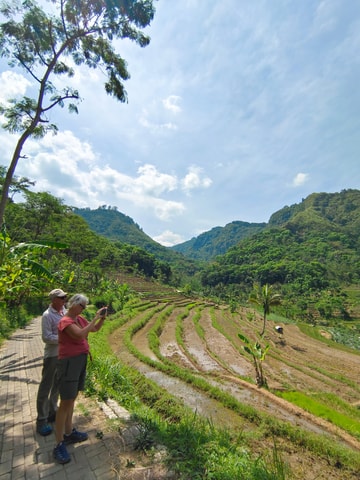 Selogriyo Temple and treking Java Rice Terrace and waterfall