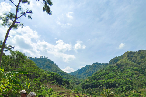 Yogyakarta: Cascata escondida e campos de arroz Grupo pequeno ...