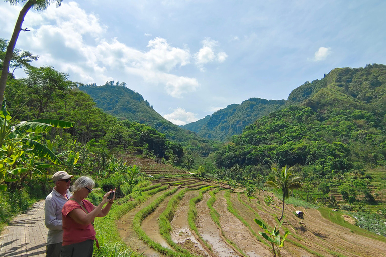 Yogyakarta: Cascata escondida e campos de arroz Grupo pequeno ...