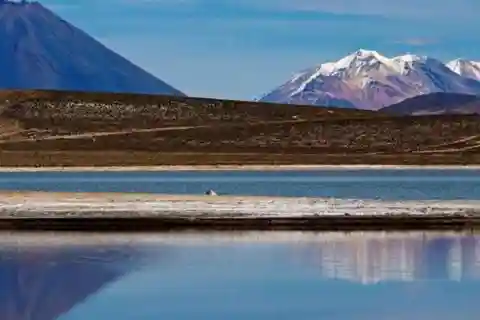 Prezzo dell'offerta: Tour Laguna di Salinas - Riserva Nazionale (Arequipa)