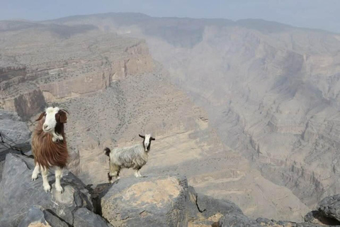 Jebel Shams Summit: Oman's Highest Peak & Grand Canyon Hike