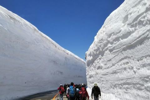 Osaka: 2-dagars tur till Hida Takayama, Shirakawa-go och Tateyama2-3 personer per rum