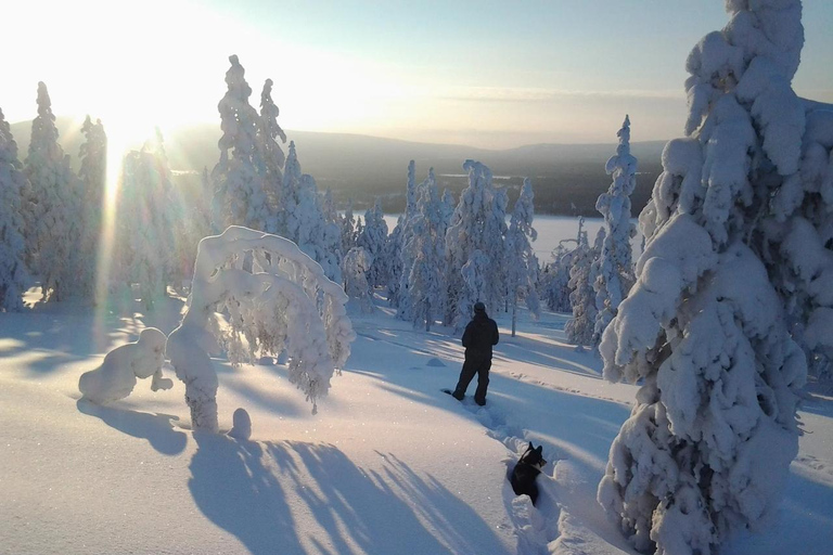 Pyhä: Skiing Tour in Arctic Forest