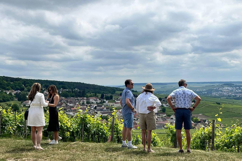Champagne Tour from Paris: Small Group, Tastings & Pickup