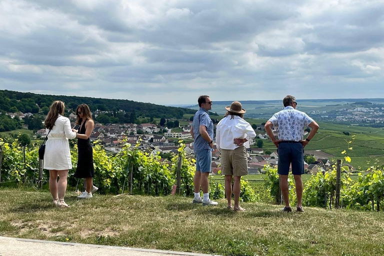 Champagne Tour from Paris: Small Group, Tastings & Pickup
