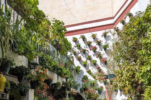 Patios of Córdoba: natural and traditional show.
