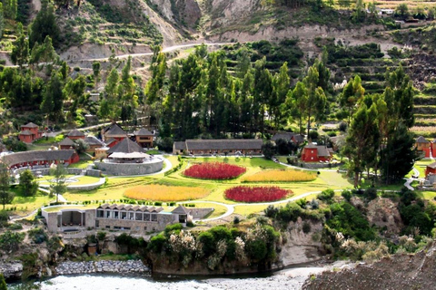 || From Arequipa: 2-Days tour of the Colca Canyon + Hotel |||| From Arequipa: 2-Days tour of the Colca Canyon ||