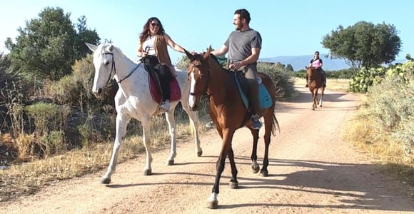 Horseback ride in Molentargius Park + Aperitif